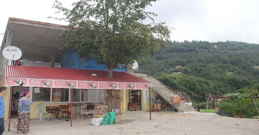 Armut ağacını kesmeye kıyamadılar