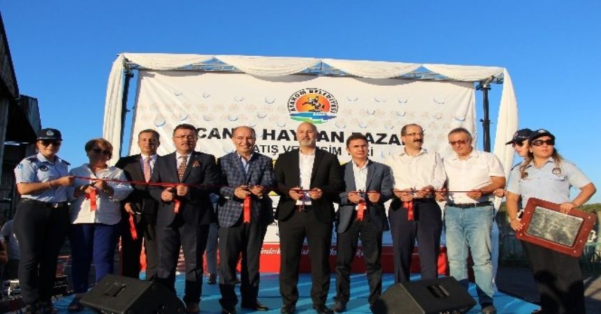 Atakum'da hayvan pazarı açıldı