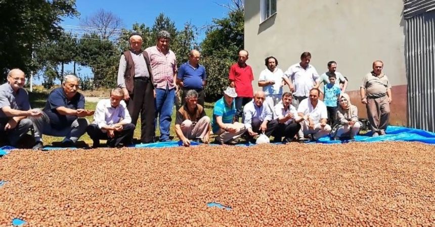 Bafralı fındıkçı 15 TL istiyor