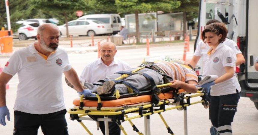 Kurban yerine kendilerini kestiler