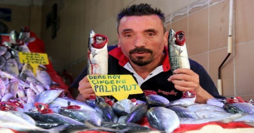 Et tamam sıra balıkta!