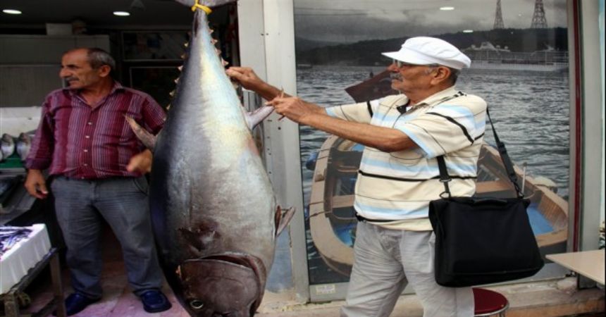 Orkinos için fotoğraf kuyruğu!