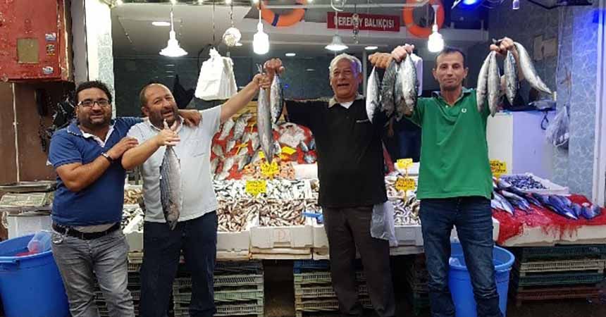 Karadeniz balık patlaması!