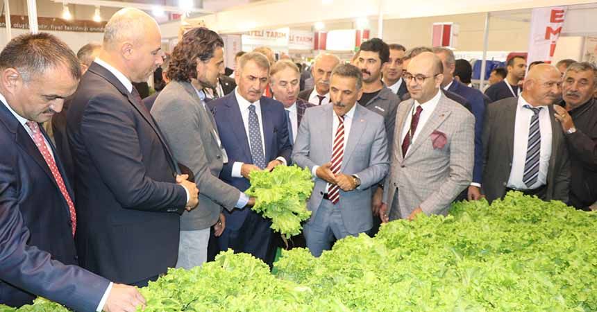 Köktaş: Tarım ve hayvancılıkta istediğimiz yerde değiliz