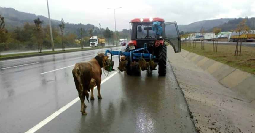 Bu vicdansızlık cezasız kalmadı