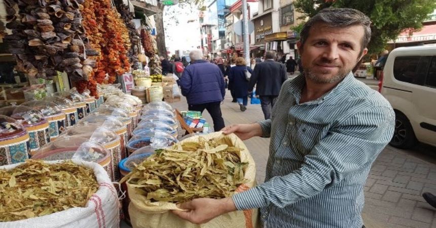 Ihlamurda zam yok