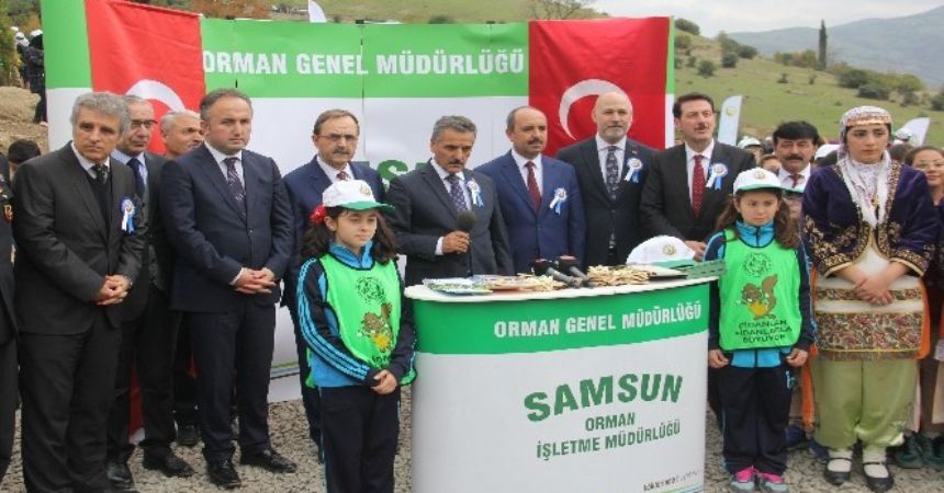 Samsun'a 3 bin fidan