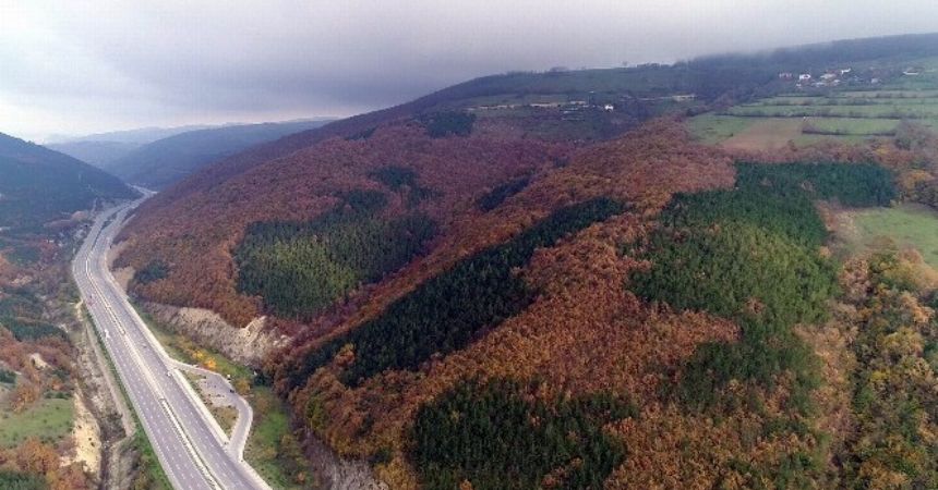 Karadeniz renk cümbüşü