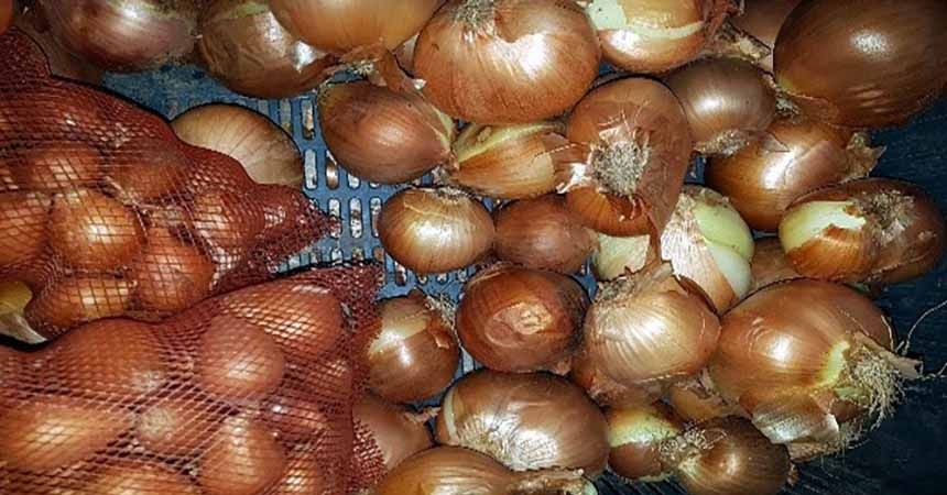Ziraat Odası'ndan soğan stokçularına uyarı