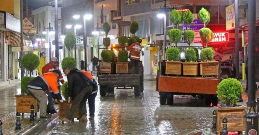 Bafra yeşilleniyor