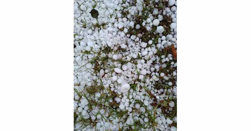 Ordu'da dolu hasarı giderildi Ordu'da dolu hasarı giderildi