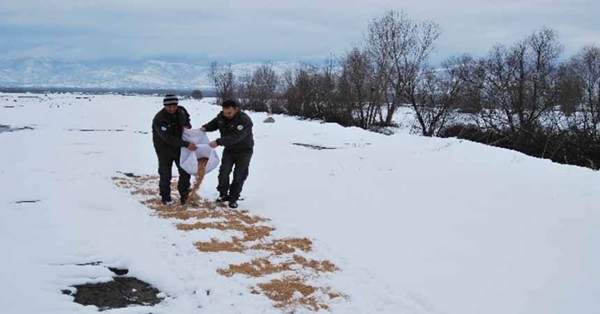 Aç kalan hayvanların imdadına yetiştiler