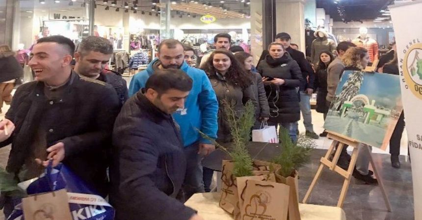 2019 fidan ücretsiz dağıtıldı