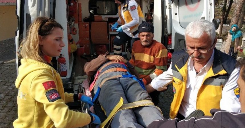Mezarlıkta üzerine ağaç devrildi