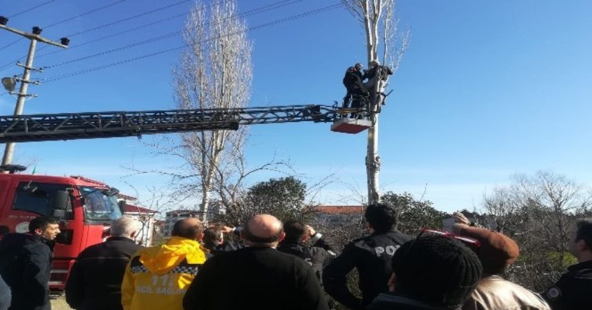Ağaç budarken çarpıldı
