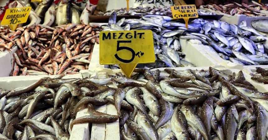 Karadeniz hamsisi Gürcistan'a kaçtı
