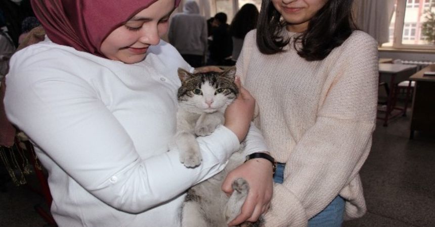 Lisenin maskotu Rıfkı