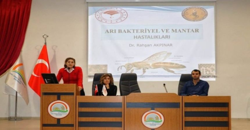 Arı yetiştiricileri bilgilendirildi