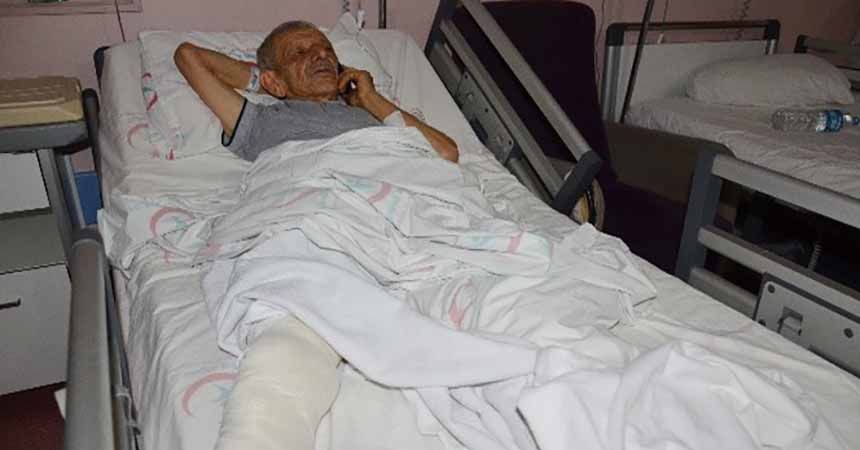 Domuz saldırısından ‘tatlı dille' kurtuldu