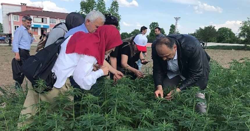 Kenevir işleme tesisi yapılmalı