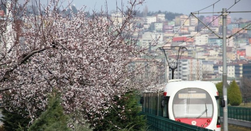 Bahar göz kırptı!