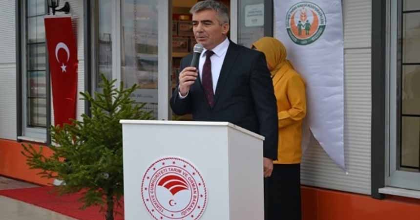 45 bin ton silajlık mısır üretilecek 45 bin ton silajlık mısır üretilecek