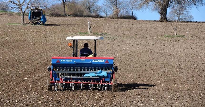 Kenevir ekimi başladı