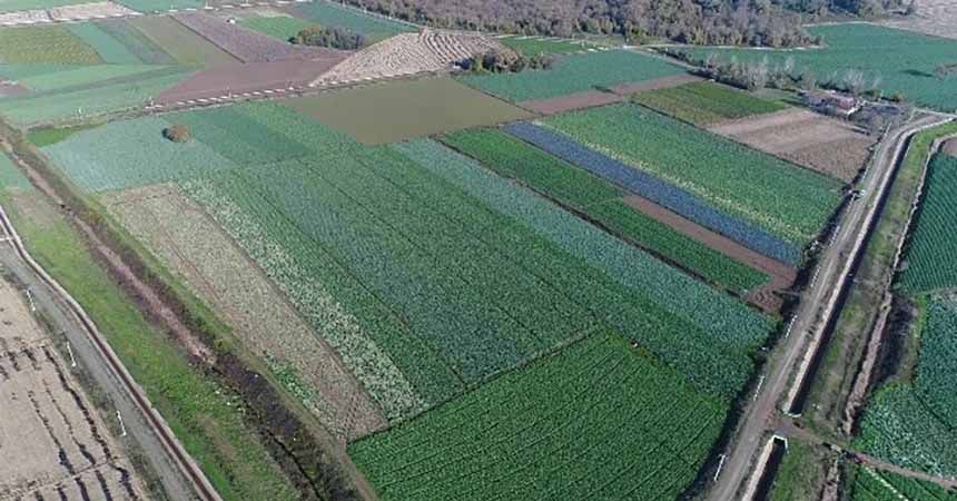 Türkiye'nin ihtiyacını Samsun karşılıyor Türkiye'nin ihtiyacını Samsun karşılıyor