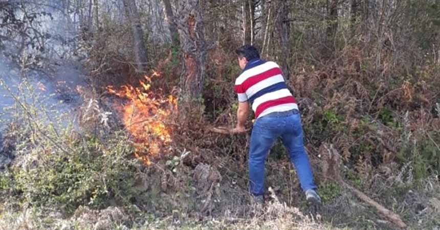 Sinop'ta 5 dönüm orman kül oldu