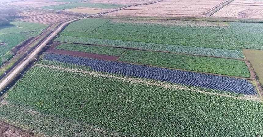 Göçü önlemek için üreticiye destek