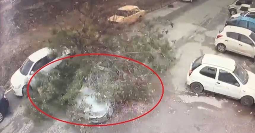 Test sürüşü yaparken üzerine ağaç devrildi