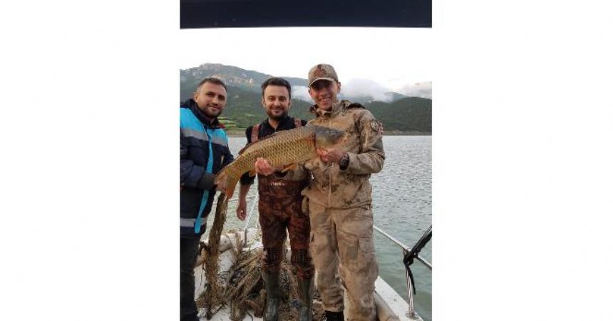Yasak ava geçit yok