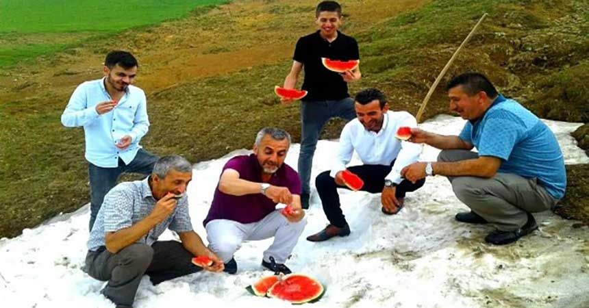 Haziran ayında kara gömüp yediler