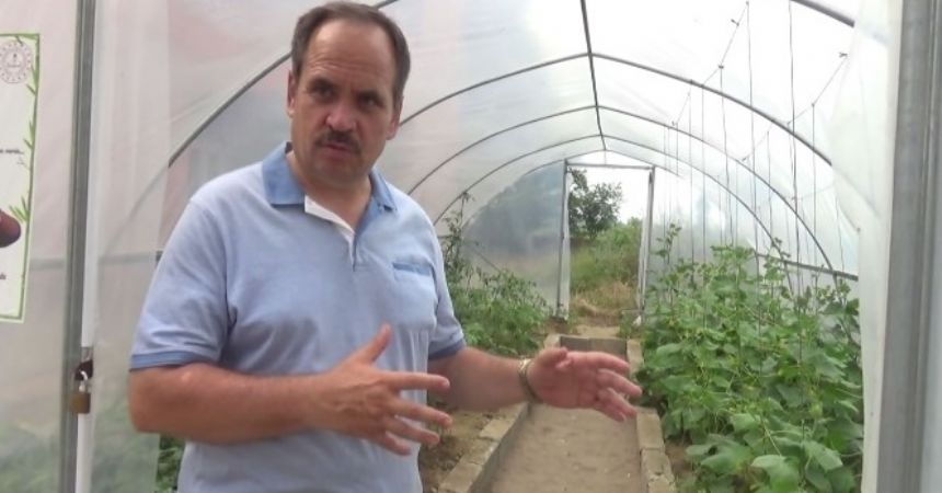 Okulda yerli tohum üretimi Okulda yerli tohum üretimi