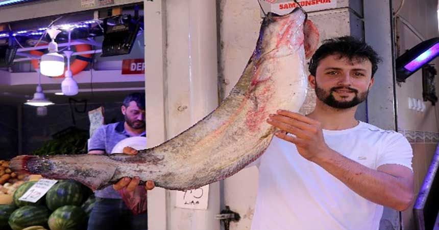 Yasak bitti tezgahlar şenlendi Yasak bitti tezgahlar şenlendi