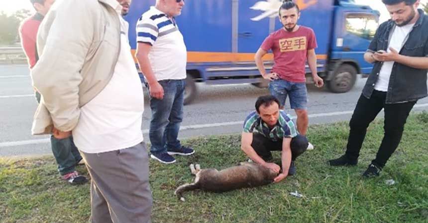Vicdanı elvermeyince geri döndü ve...