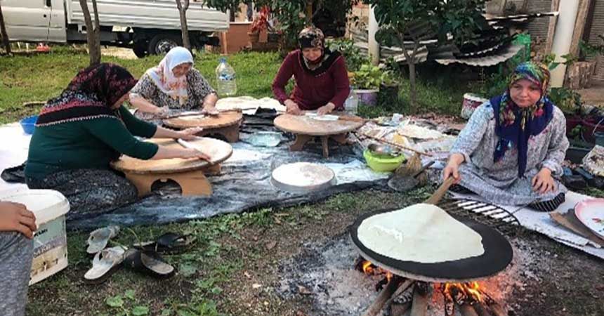 Fındık hasadı hazırlıkları devam ediyor