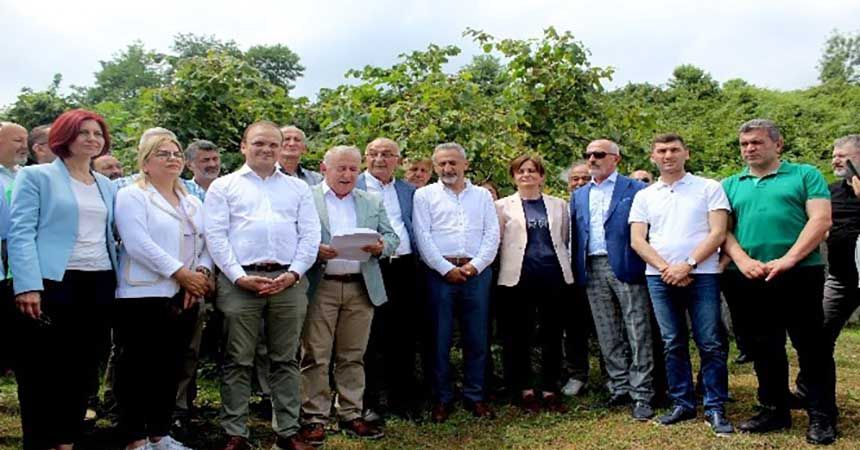 CHP'lilerden ortak ‘fındık' açıklaması