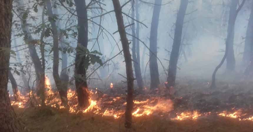 Orman yangınına  helikopterli müdahale
