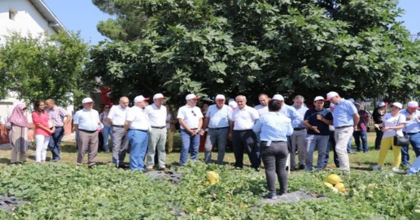 Yağmur suyuyla kavun karpuz Yağmur suyuyla kavun karpuz