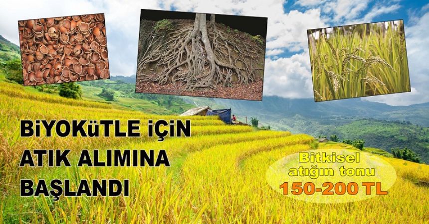 Biyokütle enerjide bitkisel atıklar değerlendirilecek Biyokütle enerjide bitkisel atıklar değerlendirilecek