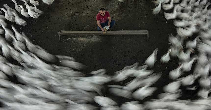 Nebiyan Doğa Festivali fotoğraf yarışması sonuçlandı