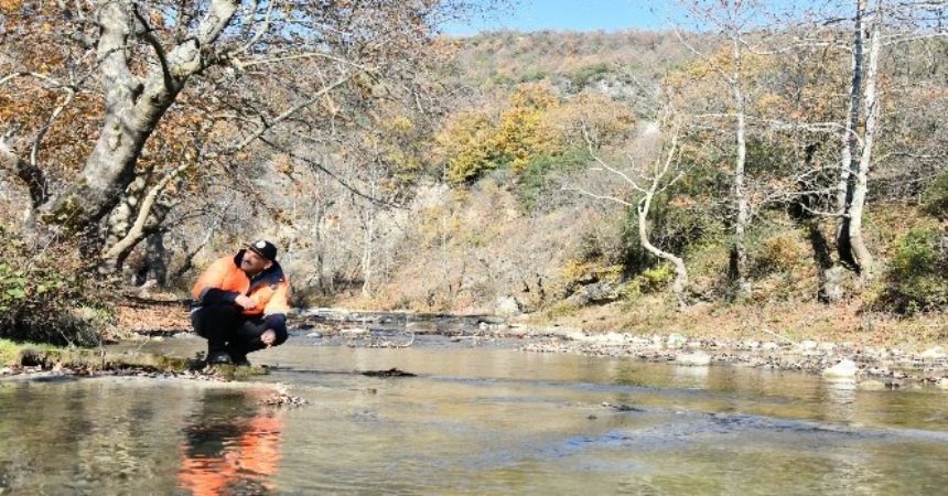 Samsun'a şifa ormanı Samsun'a şifa ormanı