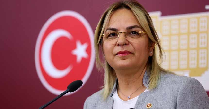 Hancıoğlu: Tarlayı filler bastı Hancıoğlu: Tarlayı filler bastı