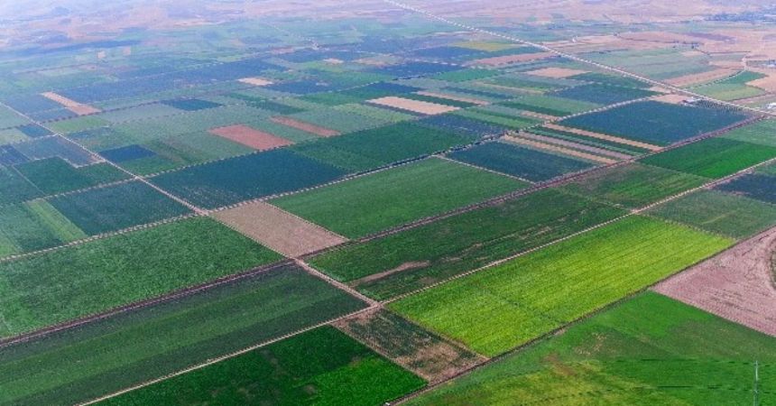 Tarsim'den 13 milyon destek Tarsim'den 13 milyon destek