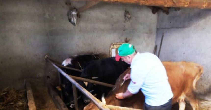 Hayvanlara zorunlu aşı uyarısı Hayvanlara zorunlu aşı uyarısı