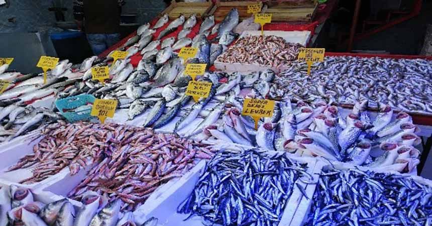 Havalar ısındı balık fiyatları düştü Havalar ısındı balık fiyatları düştü