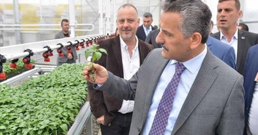 Yem bitkileri destekleme ödemeleri başladı Yem bitkileri destekleme ödemeleri başladı