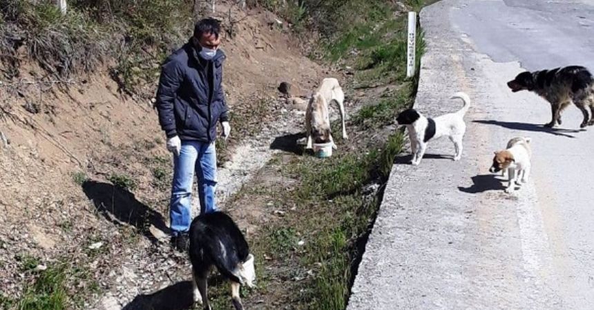 İlkadım'da hayvanlar unutulmadı İlkadım'da hayvanlar unutulmadı