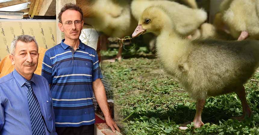 Büyükşehir'den üreticiye destek Büyükşehir'den üreticiye destek